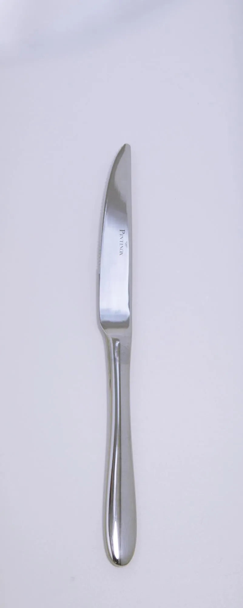 Elegante Ritz Steakmesser von Pintinox: 22,8 cm Klinge, 18/10 Edelstahl, präzise, langlebig, ideal für Steakliebhaber.