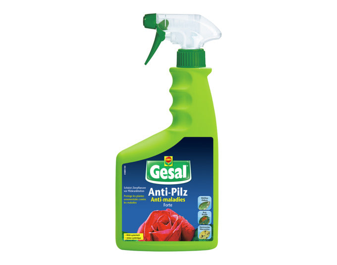 Anti-Pilz Forte 750 ml in  präsentiert im Onlineshop von KAQTU Design AG. Reinigungsmittel ist von GESAL