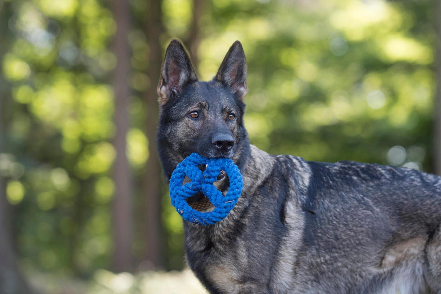 Spielzeug Paulchen Peace in  präsentiert im Onlineshop von KAQTU Design AG. Hundebedarf ist von Laboni