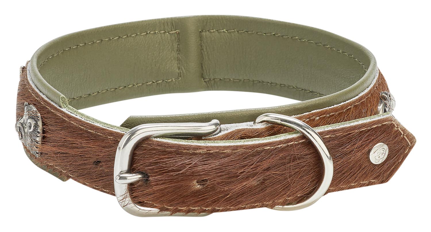 Halsband Bavaria XS in  präsentiert im Onlineshop von KAQTU Design AG. Hundebedarf ist von Laboni