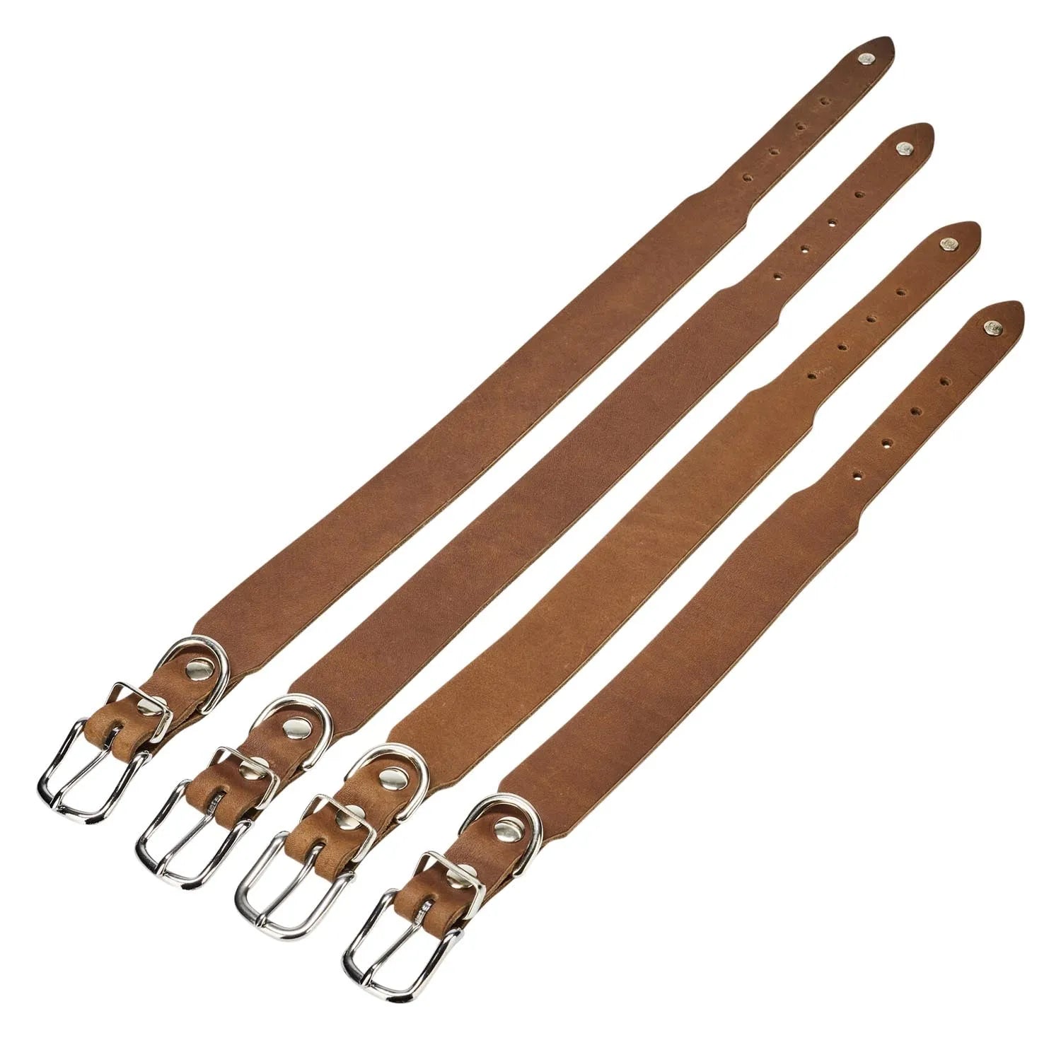 Luxuriöses Laboni Giro XL Halsband für trendbewusste Hundehalter.