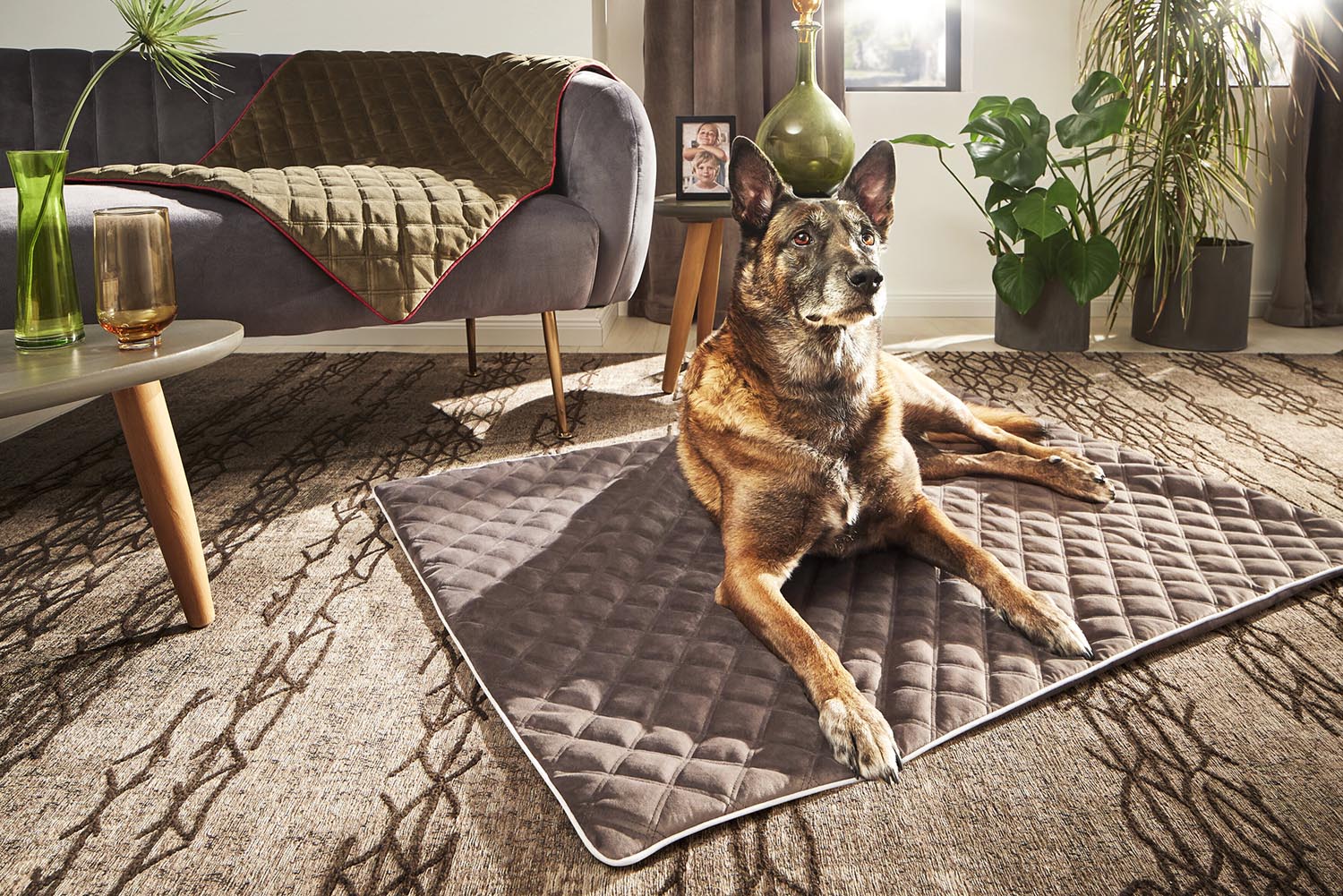 Decke Oxford S in  präsentiert im Onlineshop von KAQTU Design AG. Hundebedarf ist von Laboni