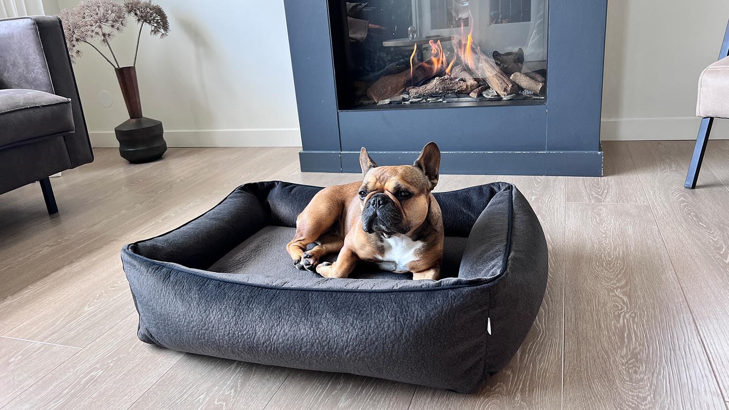 Hundebett Classic Buffalo M in  präsentiert im Onlineshop von KAQTU Design AG. Hundebedarf ist von Laboni