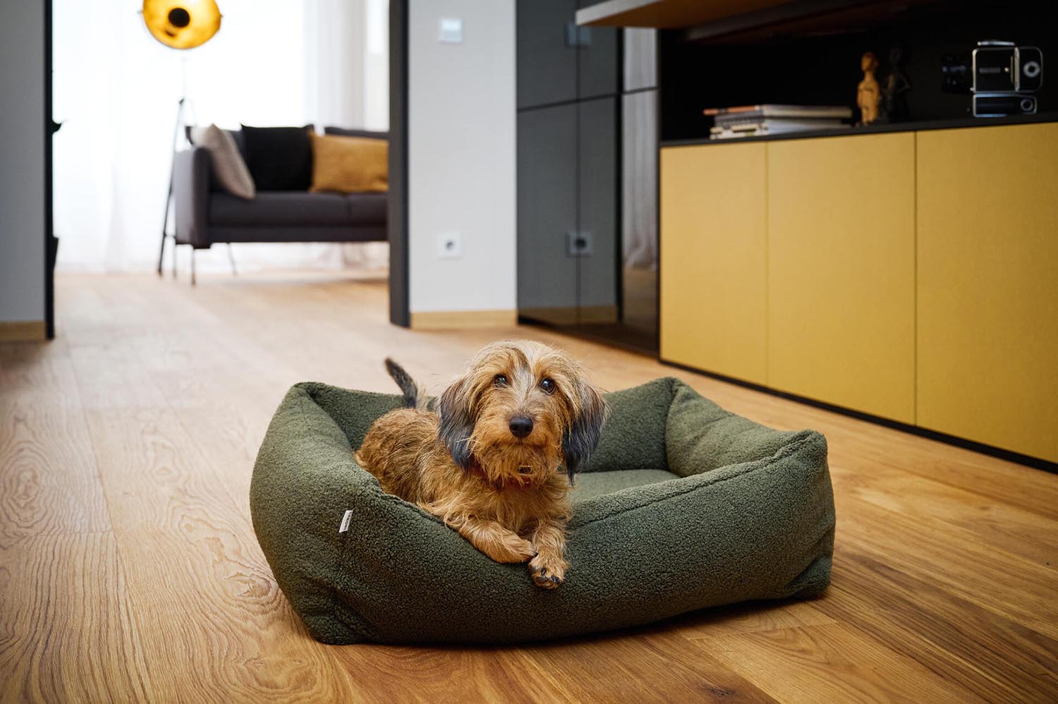 Hundebett Classic Teddy S in  präsentiert im Onlineshop von KAQTU Design AG. Hundebedarf ist von Laboni