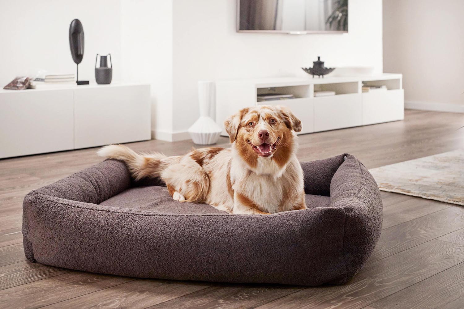 Hundebett Classic Teddy S in  präsentiert im Onlineshop von KAQTU Design AG. Hundebedarf ist von Laboni