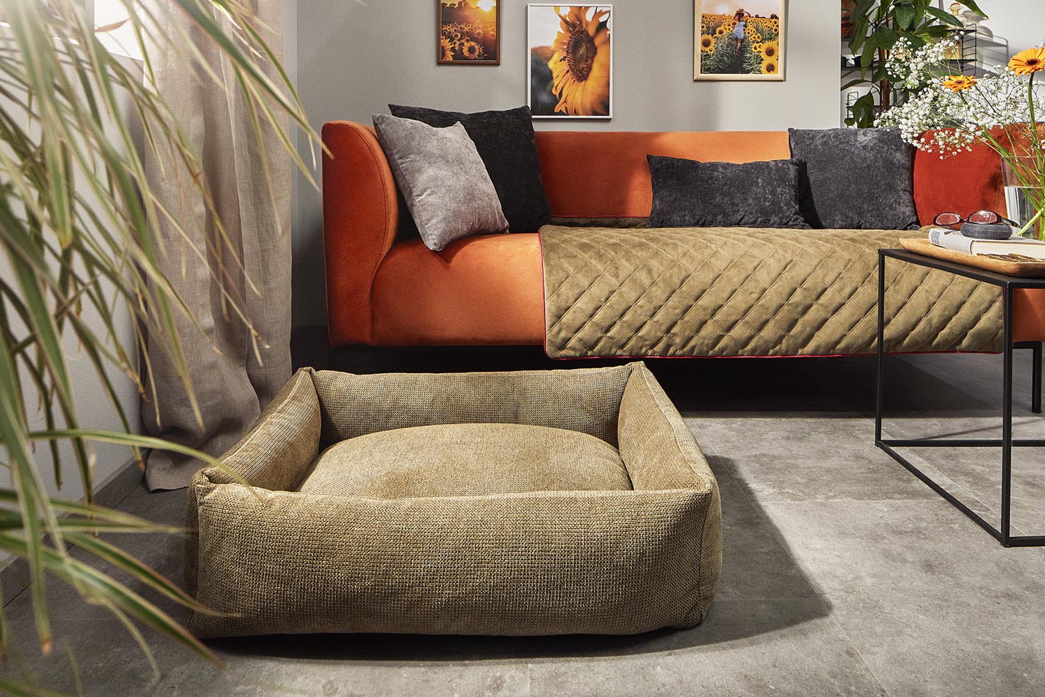 Hundebett Classic Tudor S in  präsentiert im Onlineshop von KAQTU Design AG. Hundebedarf ist von Laboni