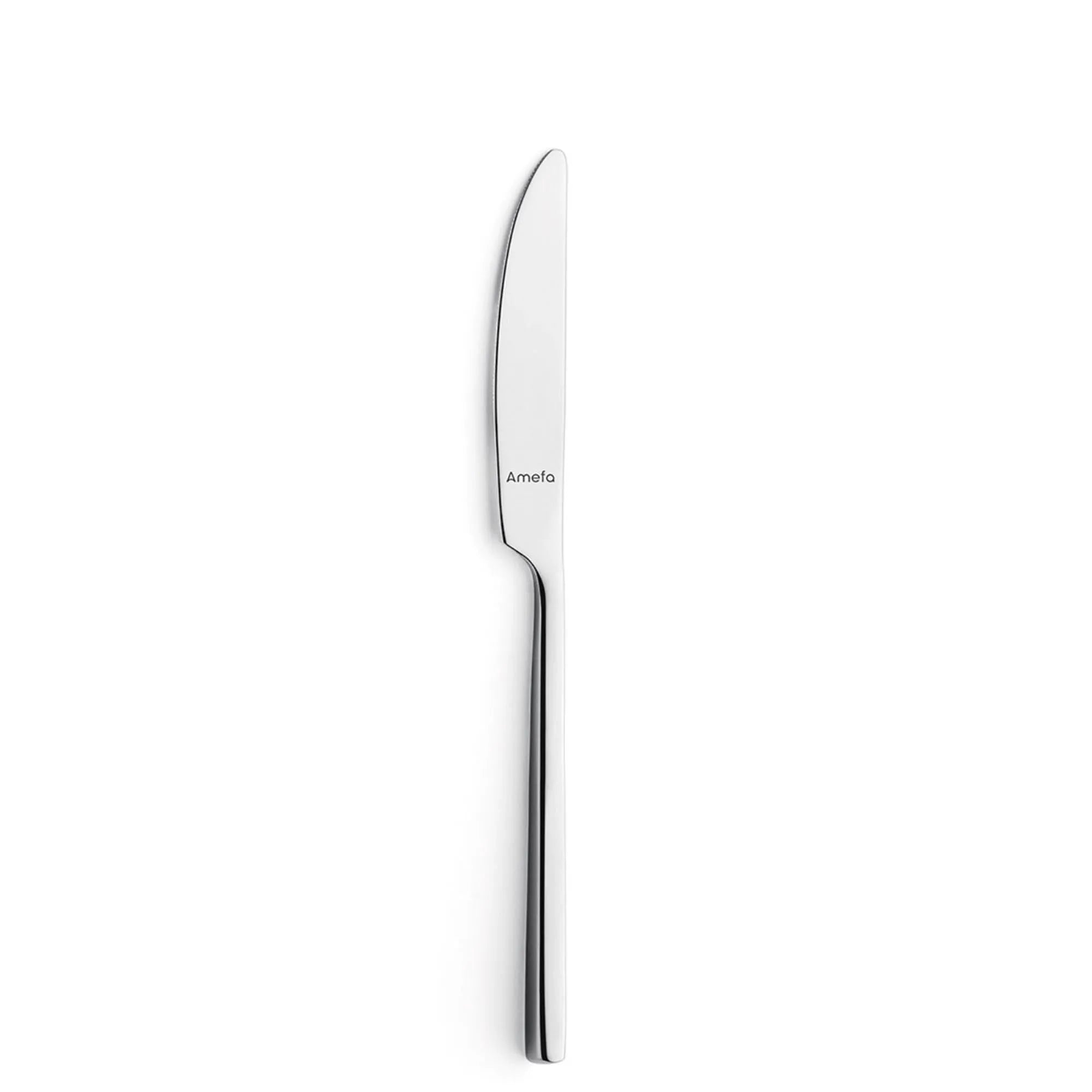 Elegantes 18/0 Edelstahl Menümesser, 22,5 cm, hochglänzend, korrosionsbeständig, ergonomisch, ideal für Fleisch, Fisch, Gemüse.