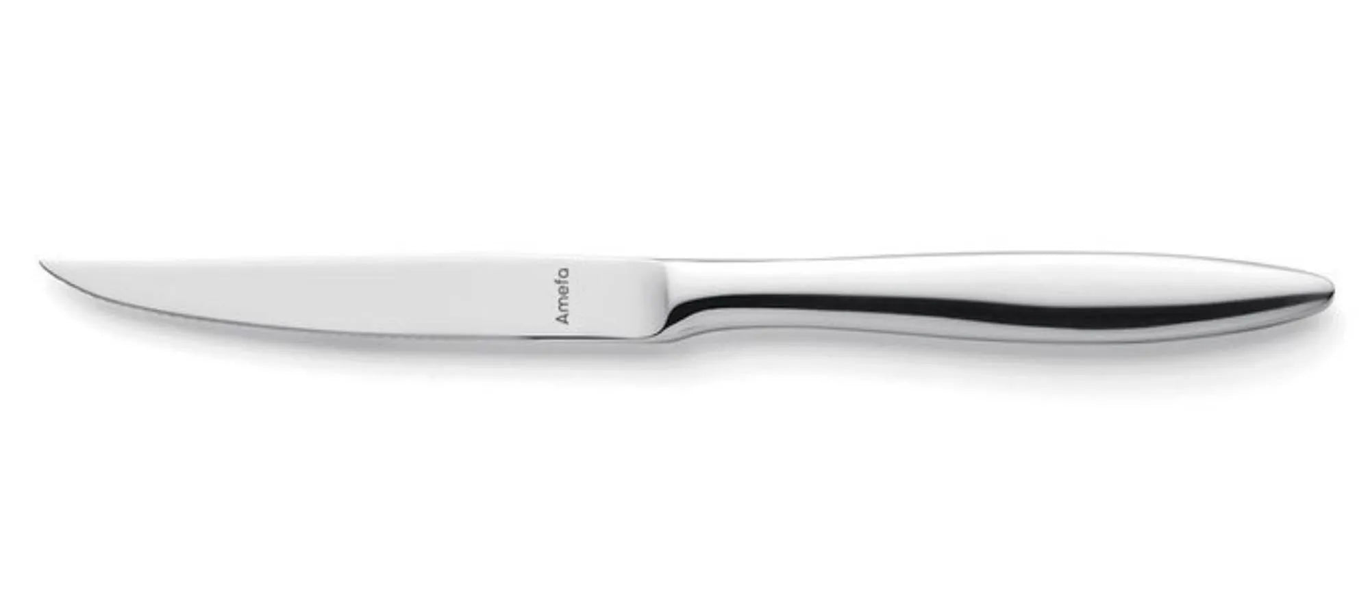 Elegantes Tendence Steakmesser von Amefa: Hochglanz, 18/10 Edelstahl, ergonomisch, langlebig, ideal für Fleischliebhaber.