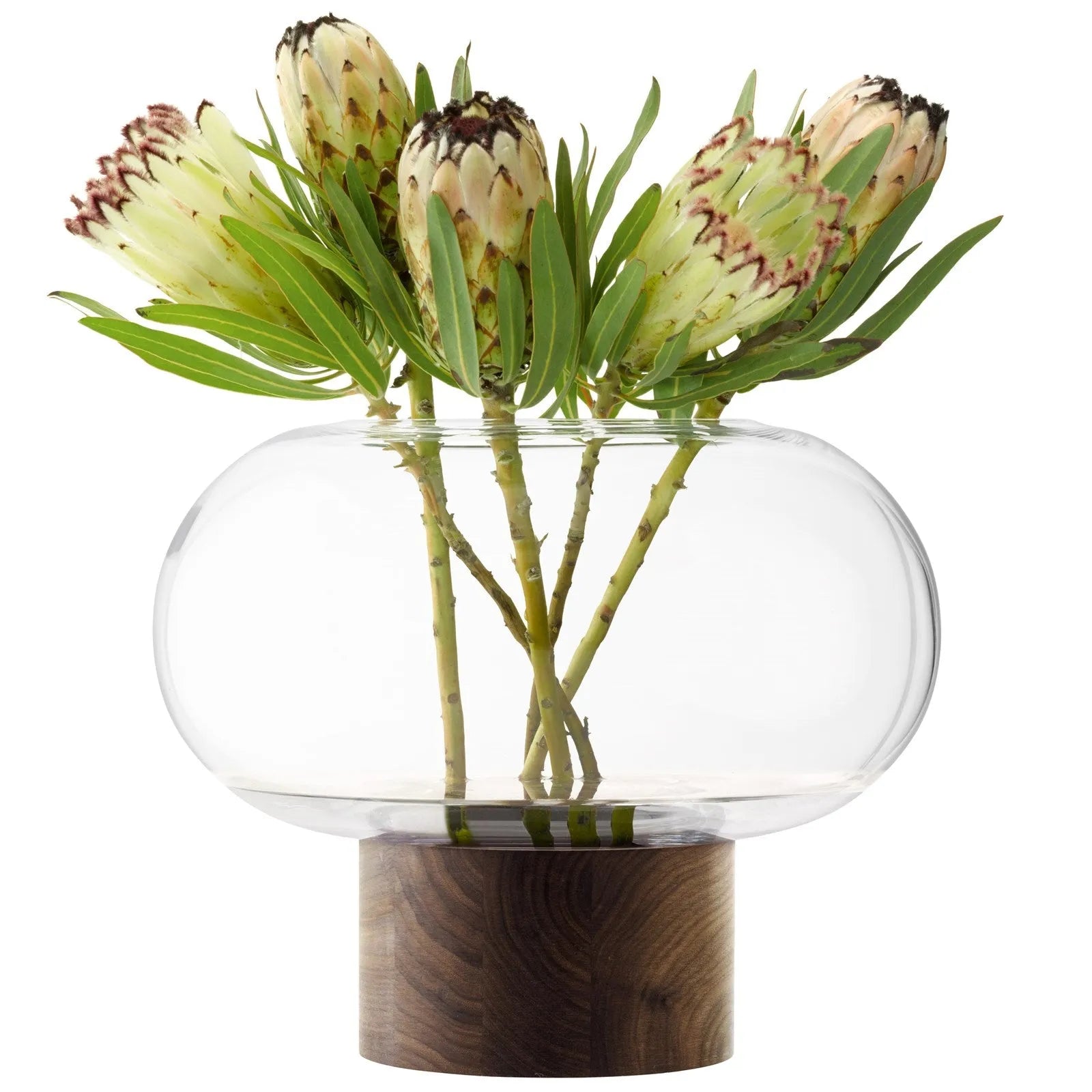 Elegante LSA Vase: Klarglas trifft Walnuss, Ø35cm, H28cm.