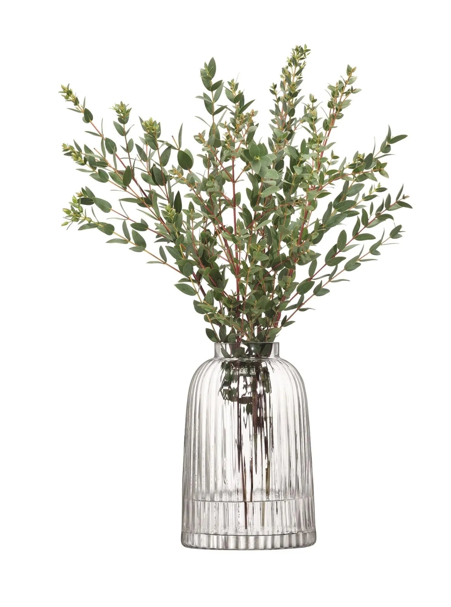 Zeitlose Pleat Vase H20cm von LSA: Klare Eleganz für Ihr Zuhause.