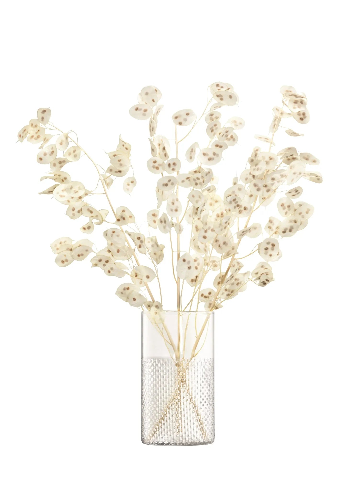 Wicker Vase Sturmlicht H25cm Klar