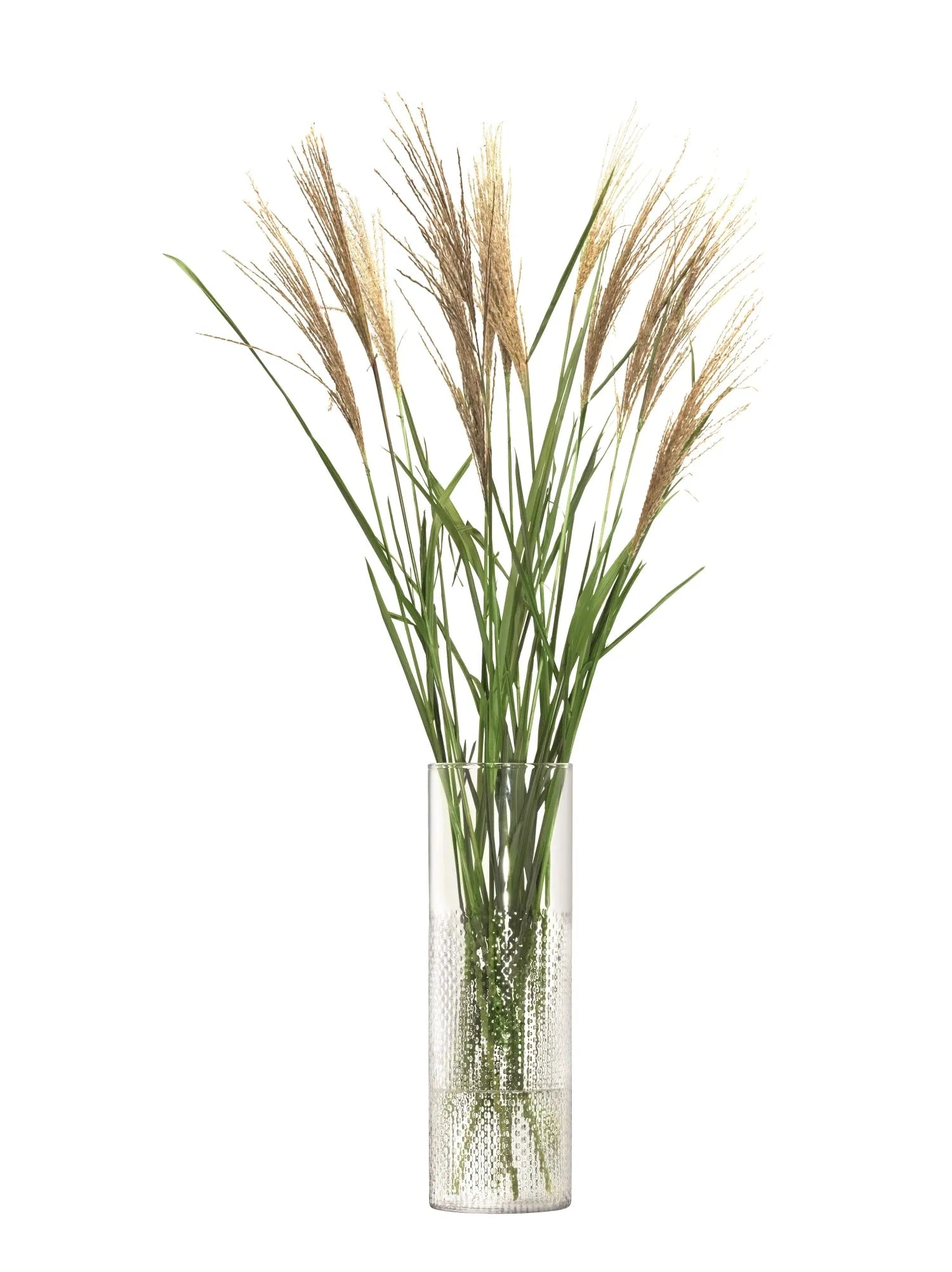 Stilvolle LSA Wicker Vase 40cm, transparentes Design-Highlight.