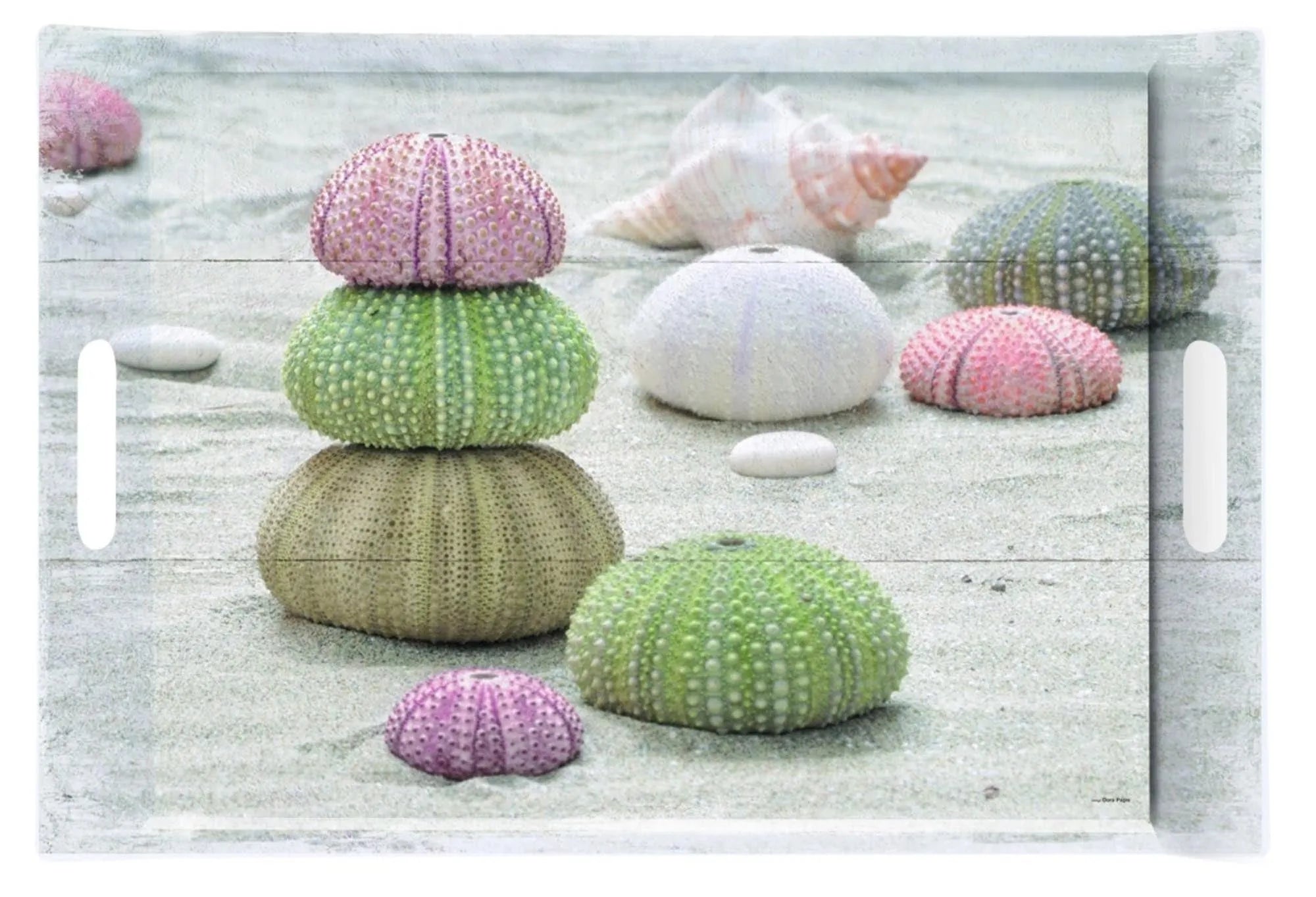 Elegantes Sea Urchins Tablett (49x34cm) von Easy Life: robustes Melamin, maritimes Design, spülmaschinenfest, ideal für Snacks & Deko.