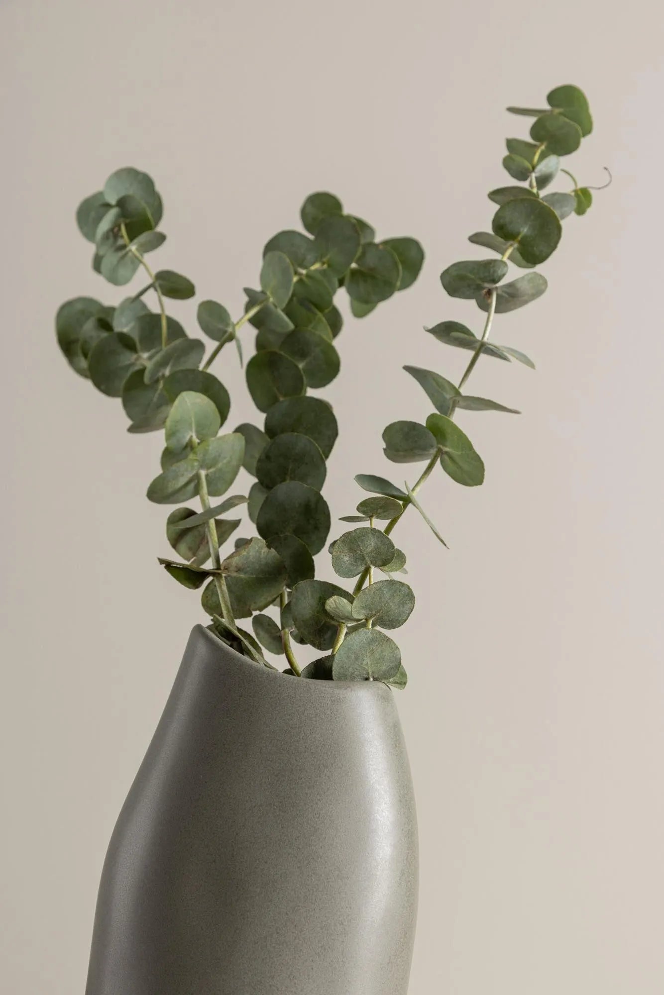 Ernst Vase in Schwarz-Weiss präsentiert im Onlineshop von KAQTU Design AG. Vase ist von Venture Home