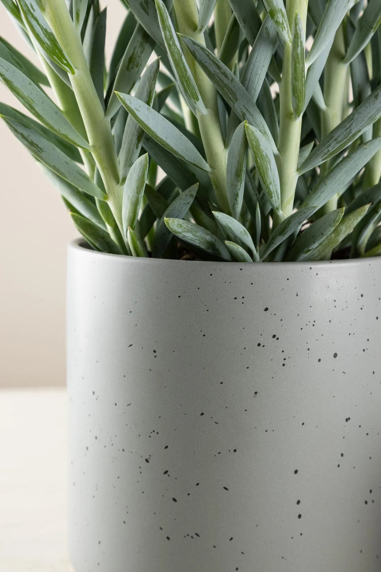 Sane Vase in Schwarz/ Dunkelgrau präsentiert im Onlineshop von KAQTU Design AG. Vase ist von Venture Home