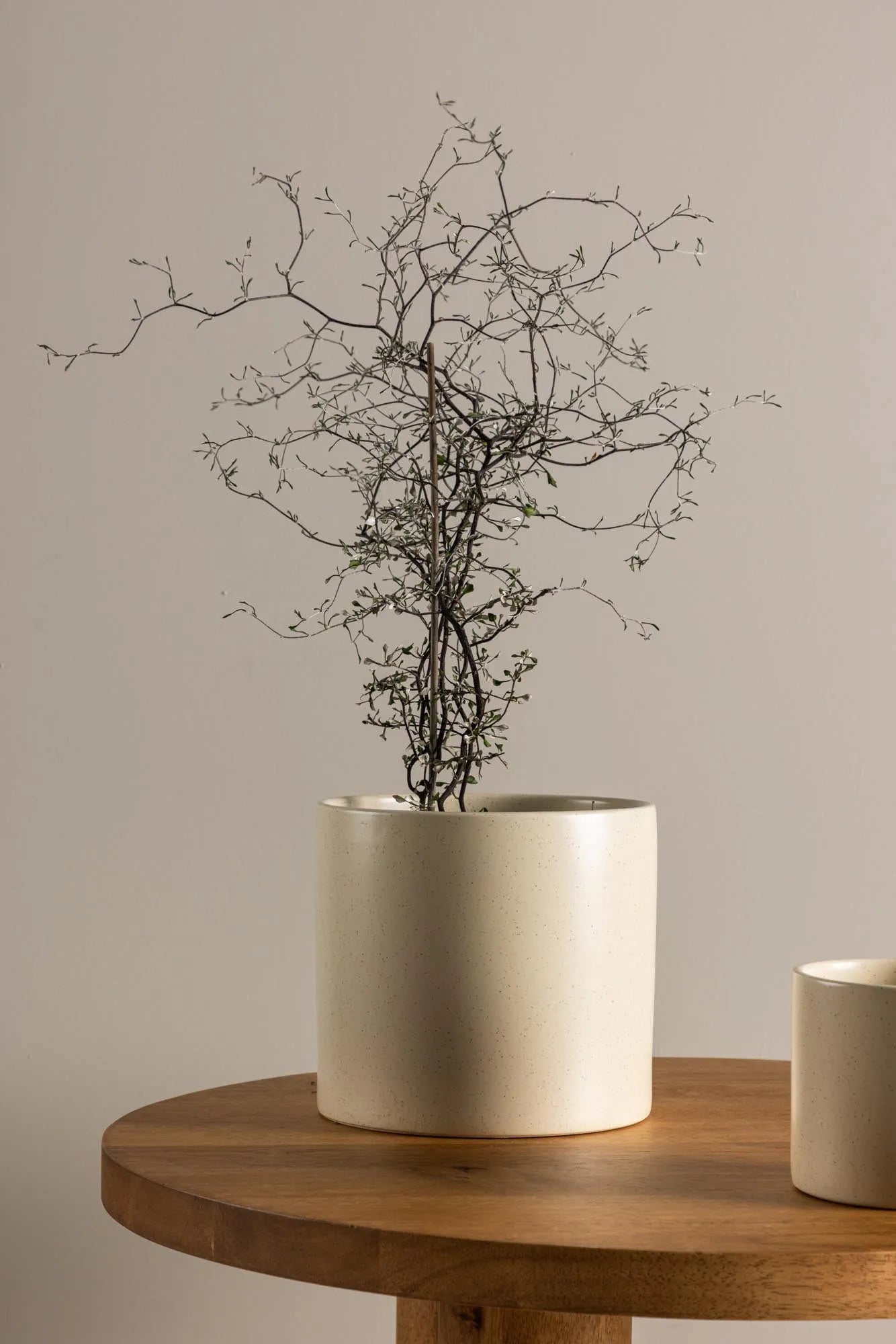 Sane Vase in Schwarz/ Dunkelgrau präsentiert im Onlineshop von KAQTU Design AG. Vase ist von Venture Home