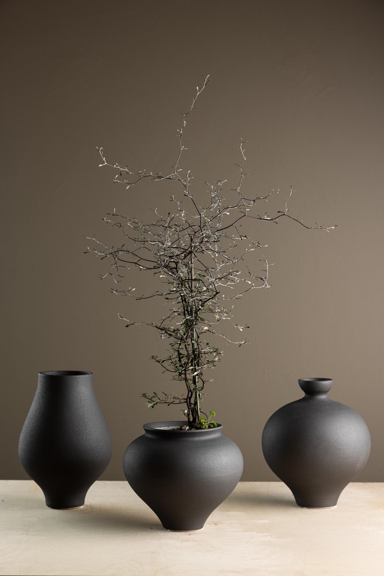 Rellis Vase in Schwarz präsentiert im Onlineshop von KAQTU Design AG. Vase ist von Venture Home