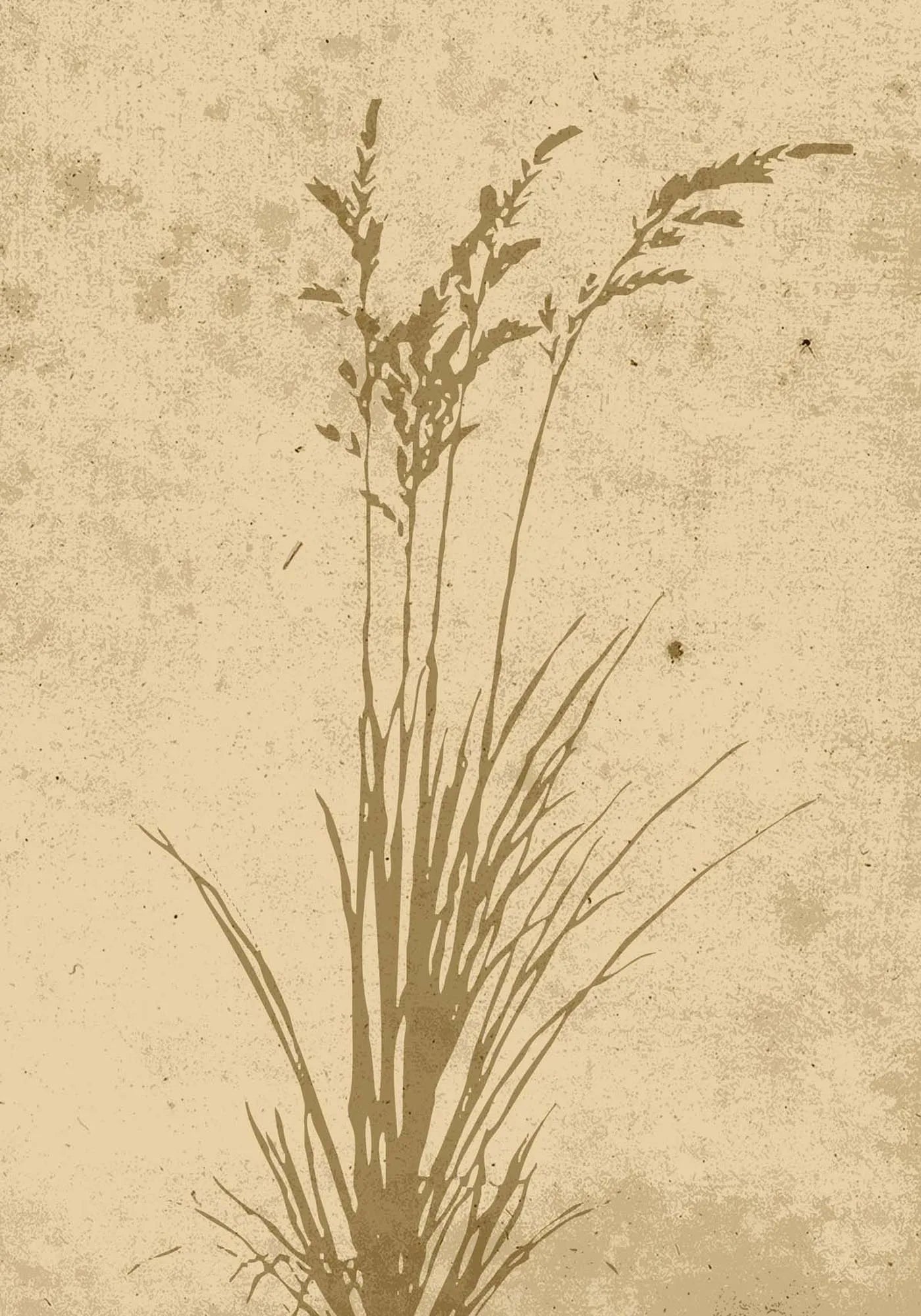 "Plant Art Poster" von Venture Home: Elegantes Design, beruhigende Neutraltöne, inspiriert von Natur, für moderne und boho Räume.