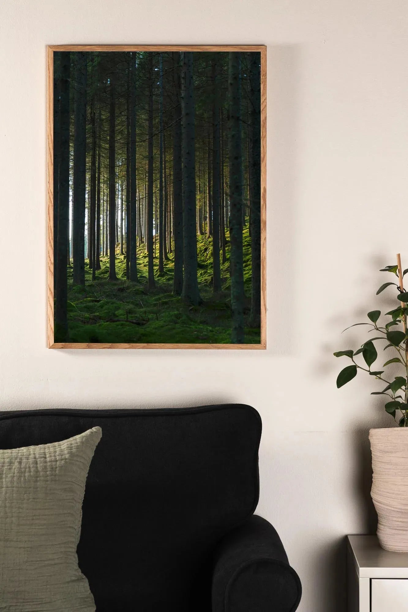 Woods Poster von Venture Home: Ein Fenster zur Natur, das mit majestätischen Bäumen und sanften Hügeln Ruhe und Schönheit in Ihr Zuhause bringt.