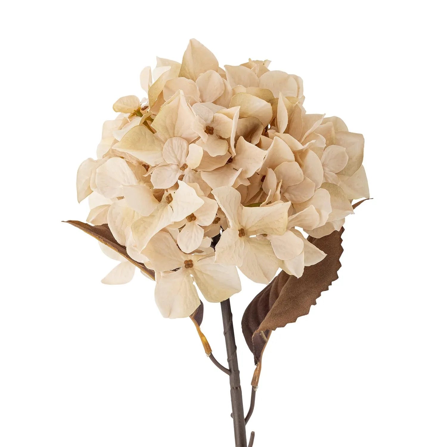 Hydrangea Stiel, Natur, Künstliche Blumen in Natur präsentiert im Onlineshop von KAQTU Design AG. Kunstpflanze ist von Bloomingville