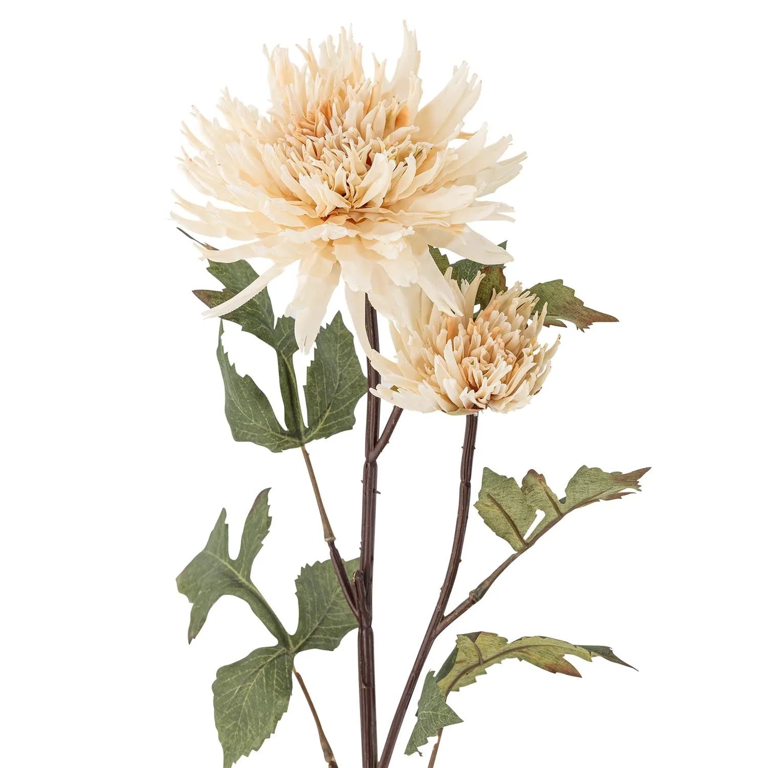 Chrysantemum Stiel, Natur, Künstliche Blumen in Natur präsentiert im Onlineshop von KAQTU Design AG. Kunstpflanze ist von Bloomingville