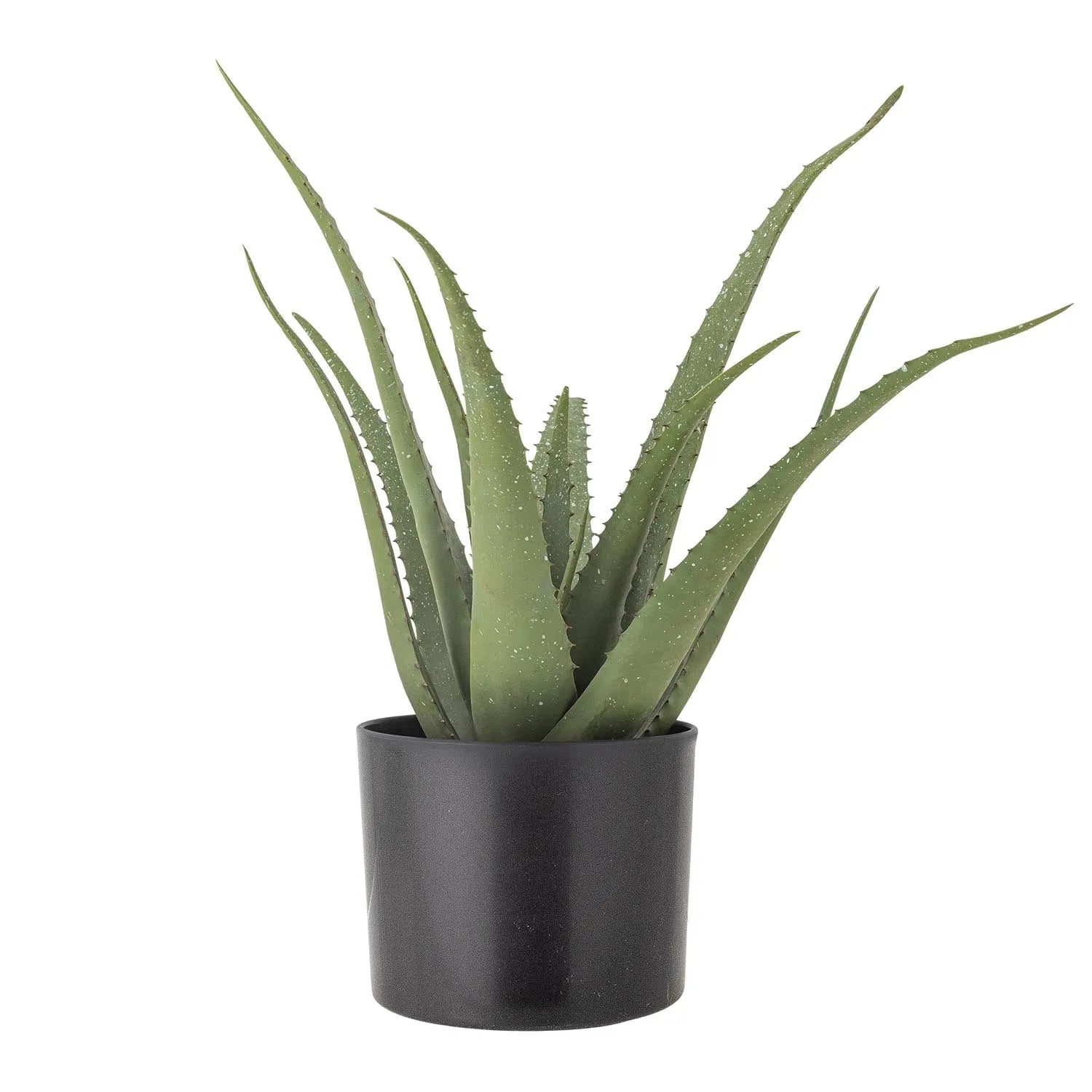 Aloe Pflanze, Grün, Künstliche Blumen in Grün präsentiert im Onlineshop von KAQTU Design AG. Kunstpflanze ist von Bloomingville