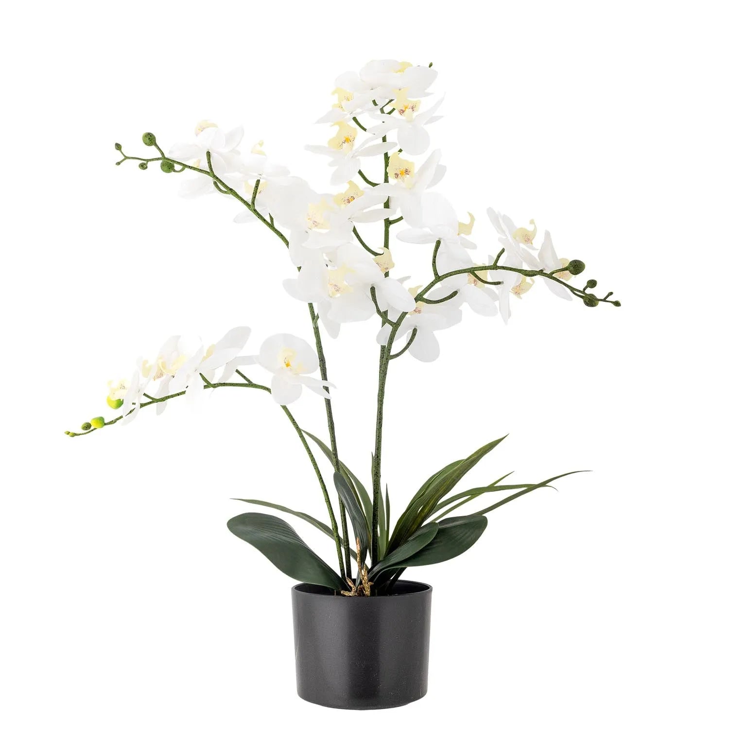 Künstliche Orchidee von Bloomingville: UV-beständig, pflegeleicht, langlebig. Perfekt für stilvolle, pflegefreie Dekoration.