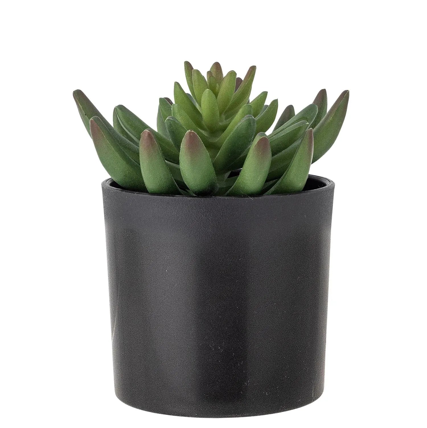 Echeveria Pflanze, Grün, Künstliche Blumen in Grün präsentiert im Onlineshop von KAQTU Design AG. Kunstpflanze ist von Bloomingville