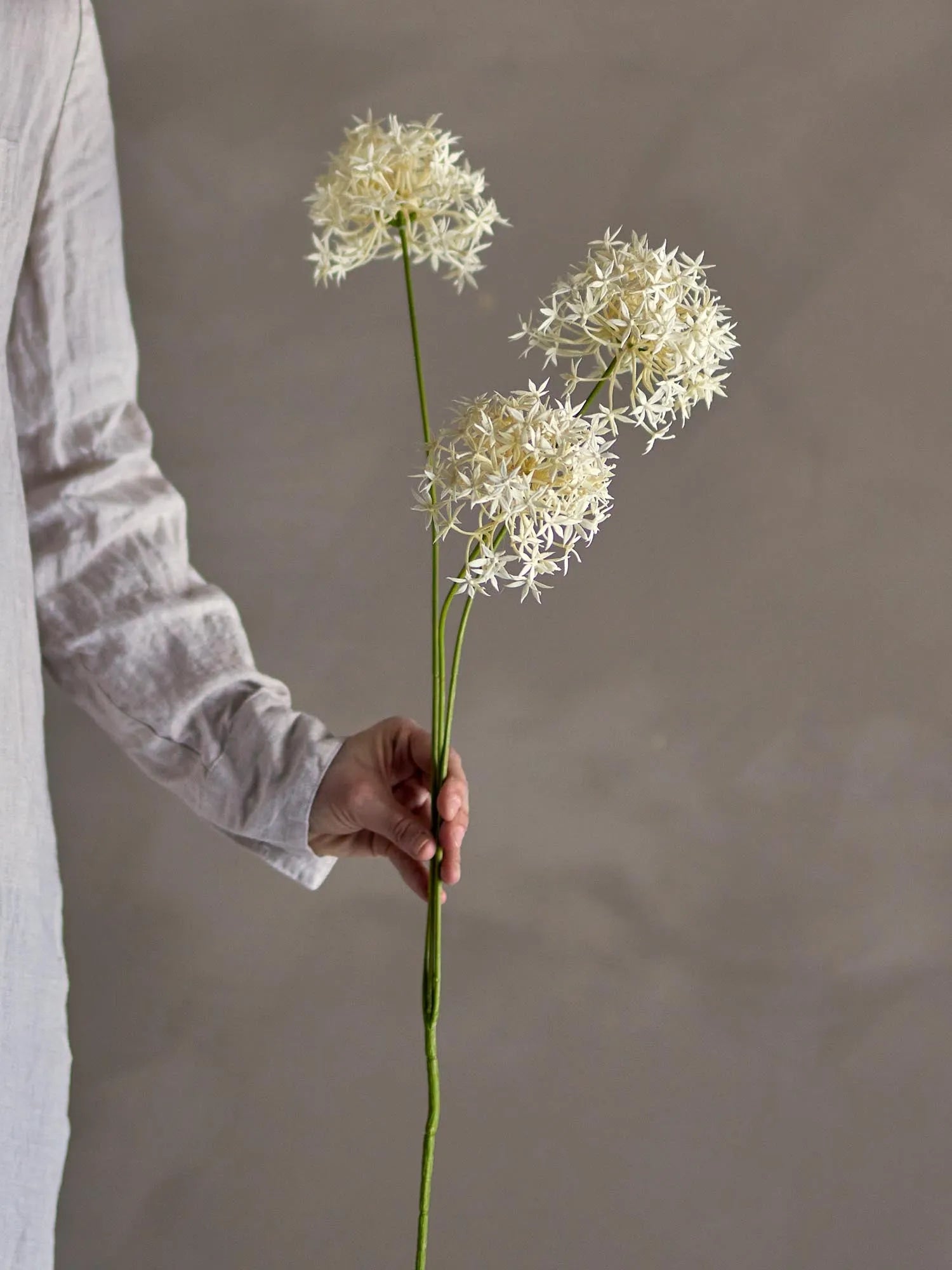 Der weiße Allium Stiel von Bloomingville bringt elegante, pflegeleichte Blütenpracht in Ihr Zuhause.