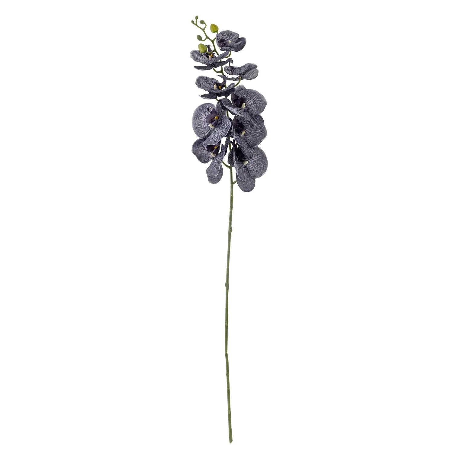 Orchid Stiel, Violett, Künstliche Blumen in Lila präsentiert im Onlineshop von KAQTU Design AG. Kunstpflanze ist von Bloomingville