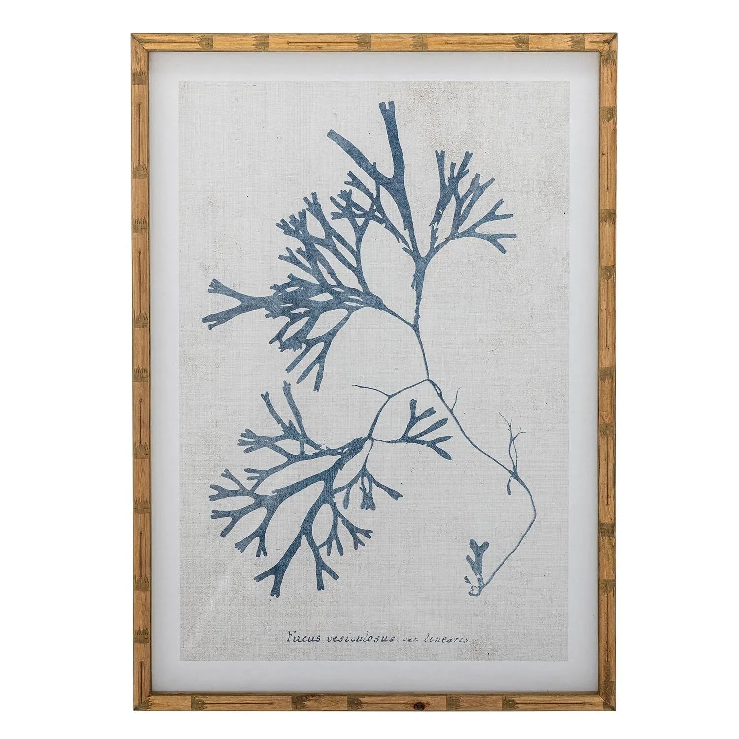 Sumner Illustration mit Rahmen, Natur, Tannenholz in Natur präsentiert im Onlineshop von KAQTU Design AG. Kunstgegenstände ist von Creative Collection