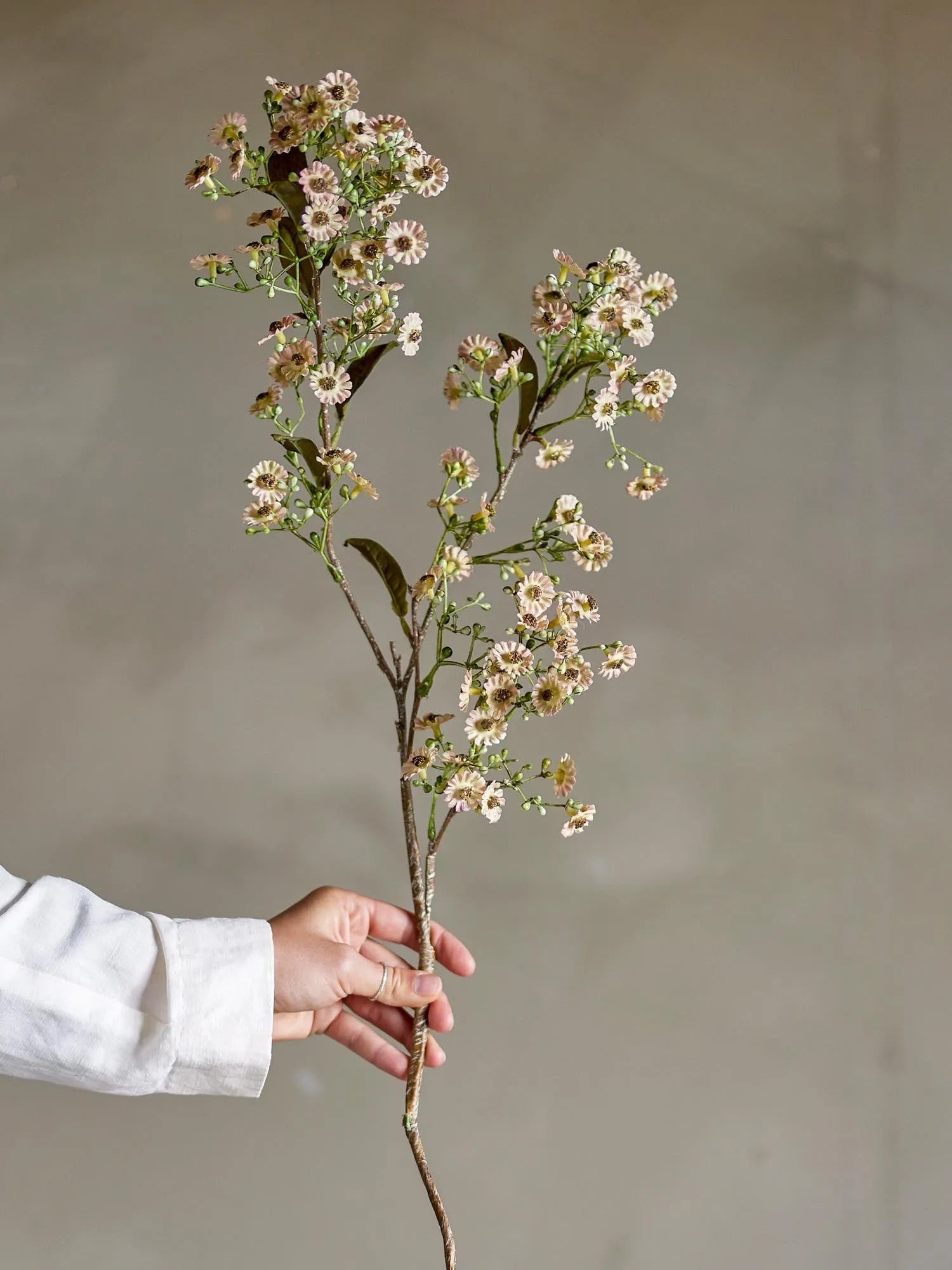 Waxflower Stiel, Weiss, Künstliche Blumen in Weiß präsentiert im Onlineshop von KAQTU Design AG. Kunstpflanze ist von Bloomingville