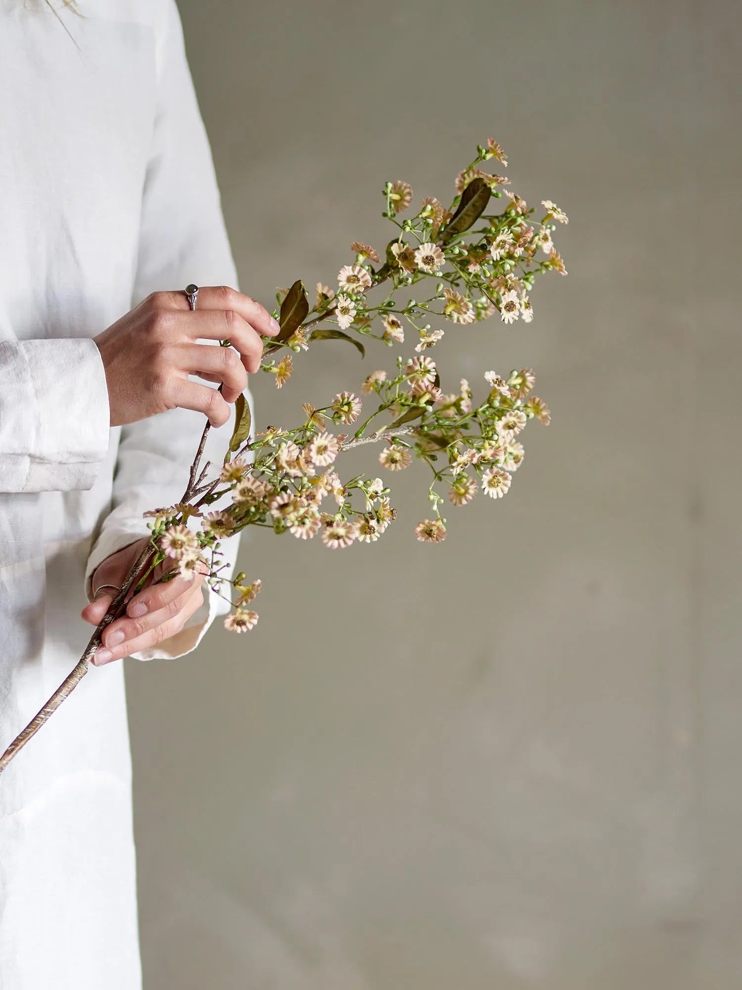 Eleganter Waxflower Stiel in Weiß von Bloomingville – pflegeleichte, naturgetreue Blütenpracht für stilvolle Dekoration.