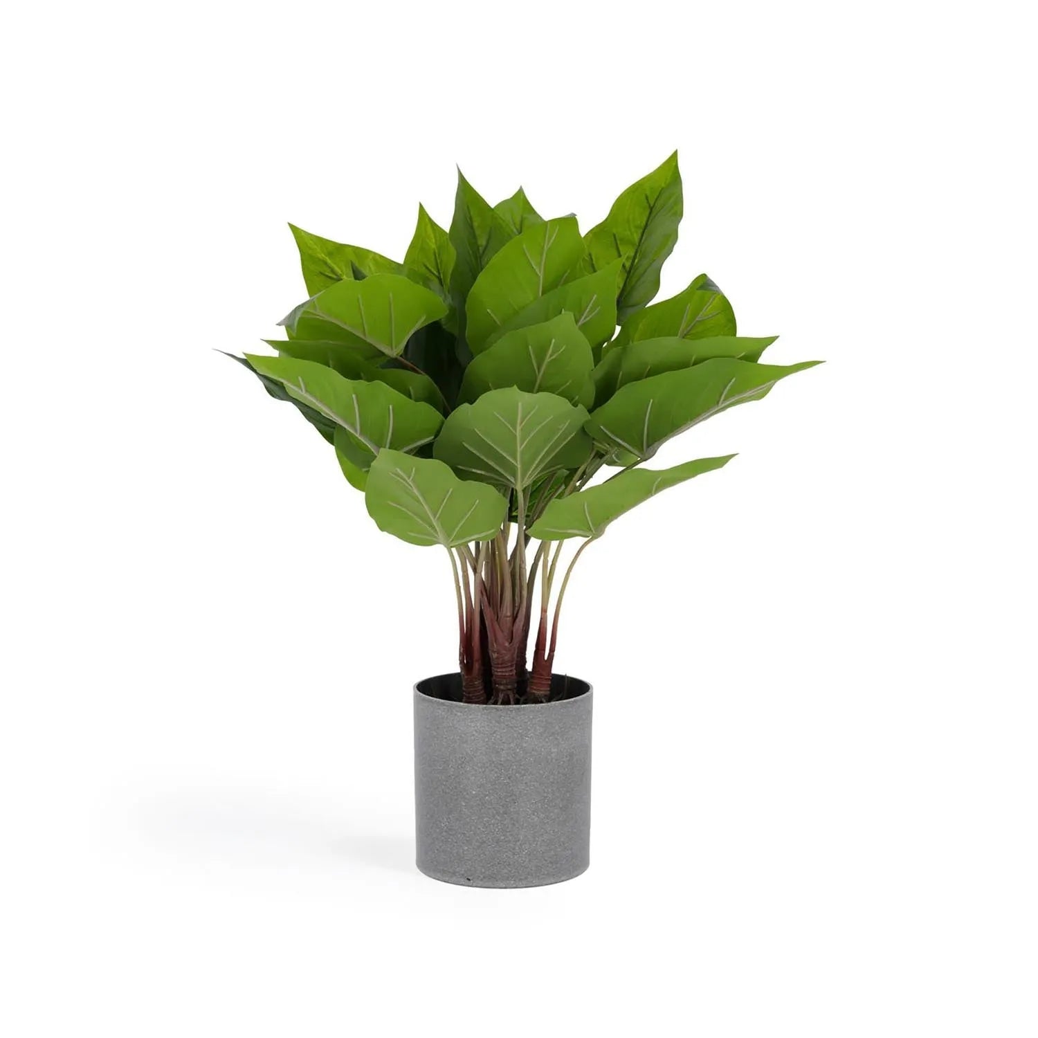 Anthurium Kunstpflanze 50 cm von Kave Home: Eleganz und Natur für Ihr Zuhause, pflegeleicht und ideal für Allergiker.