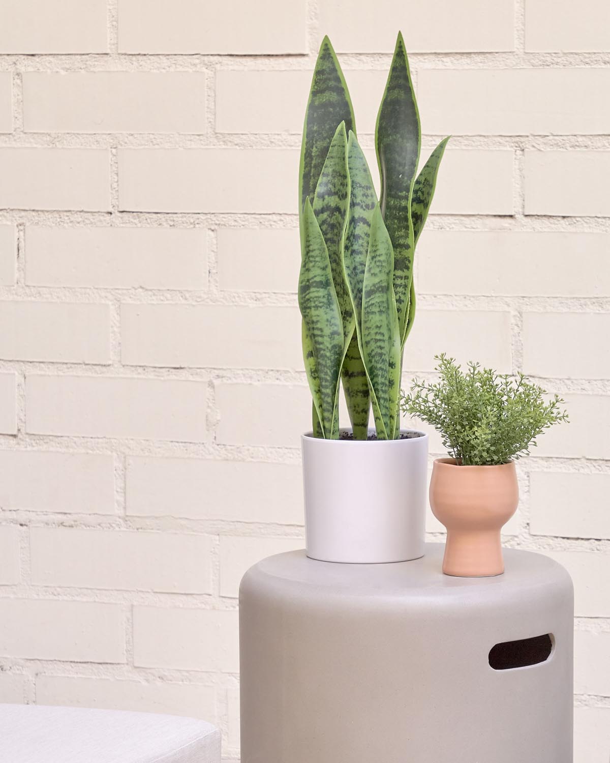 Sansevieria Kunstpflanze mit Topf weiß 55 cm in Weiß präsentiert im Onlineshop von KAQTU Design AG. Kunstpflanze ist von Kave Home