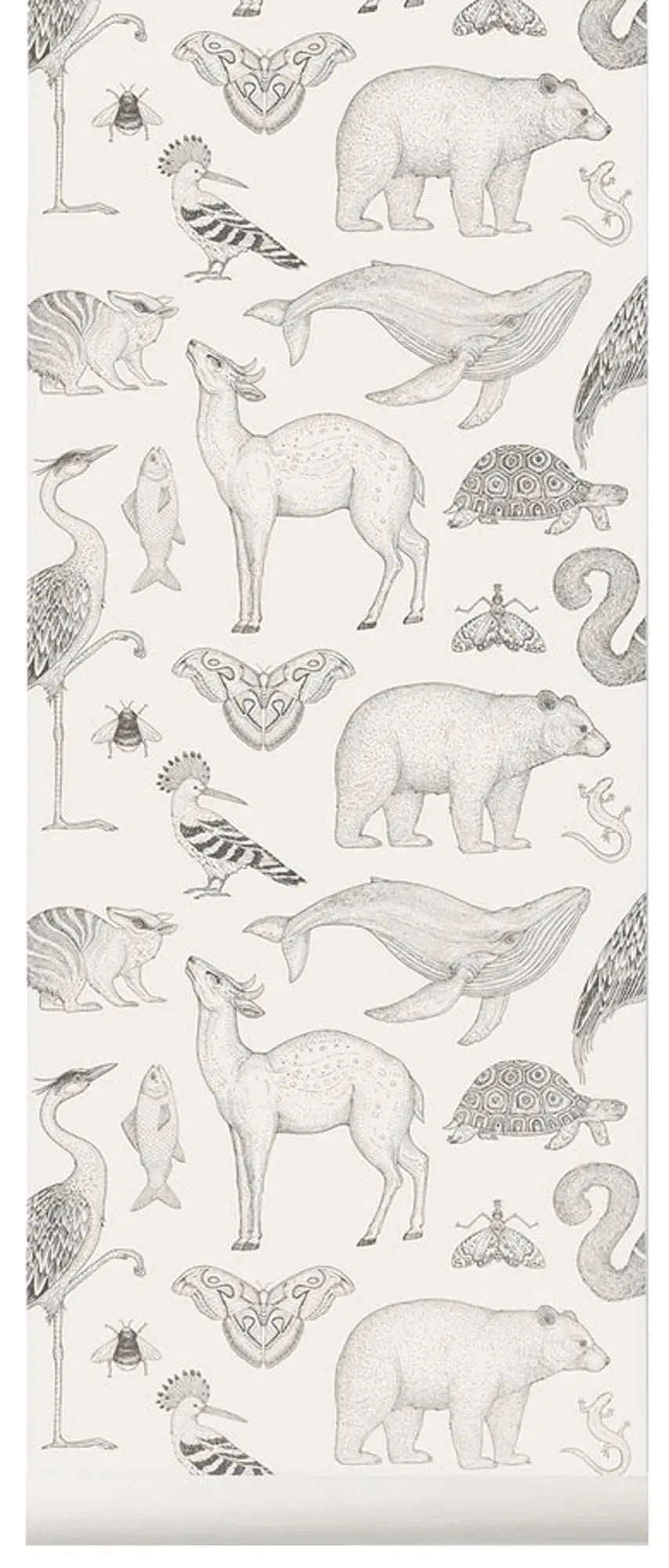 Tapete Animals - Katie Scott - KAQTU Design