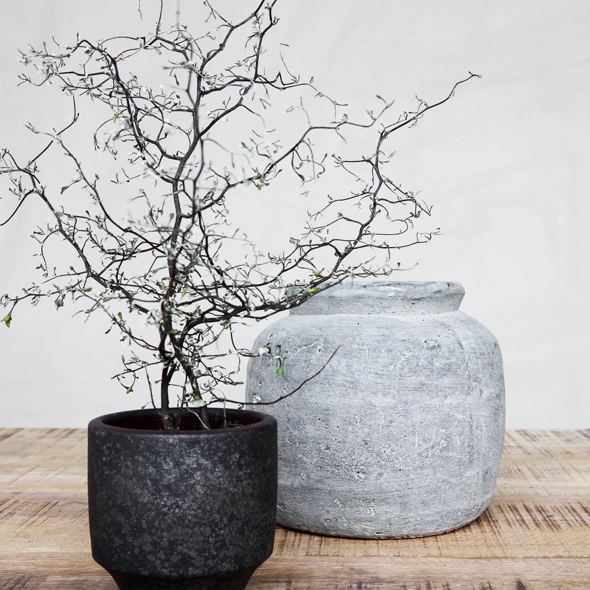 Blumenkasten, Rustik in Beton präsentiert im Onlineshop von KAQTU Design AG. Vase ist von House Doctor