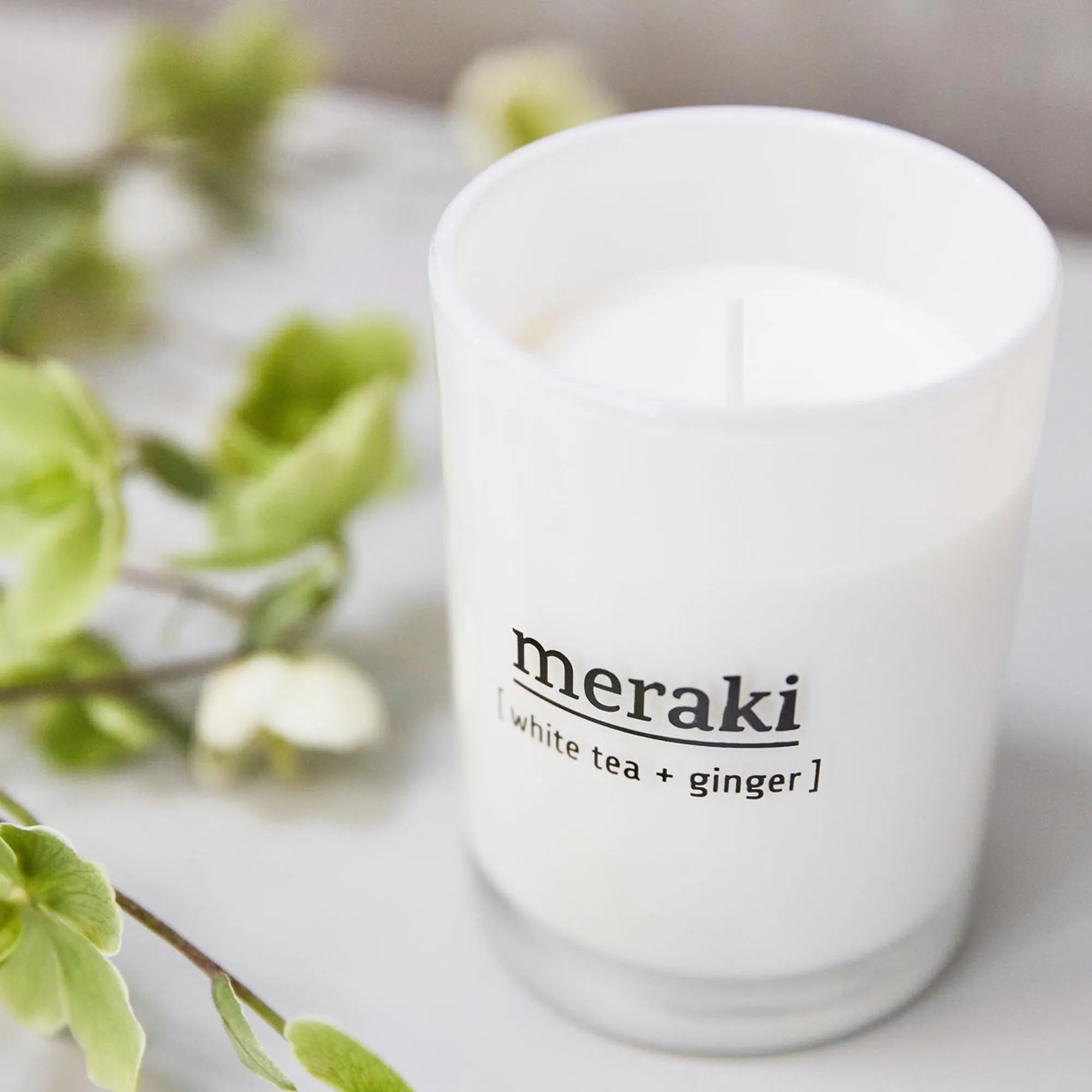 Duftkerze, White tea & ginger in  präsentiert im Onlineshop von KAQTU Design AG. Duftkerzen ist von Meraki