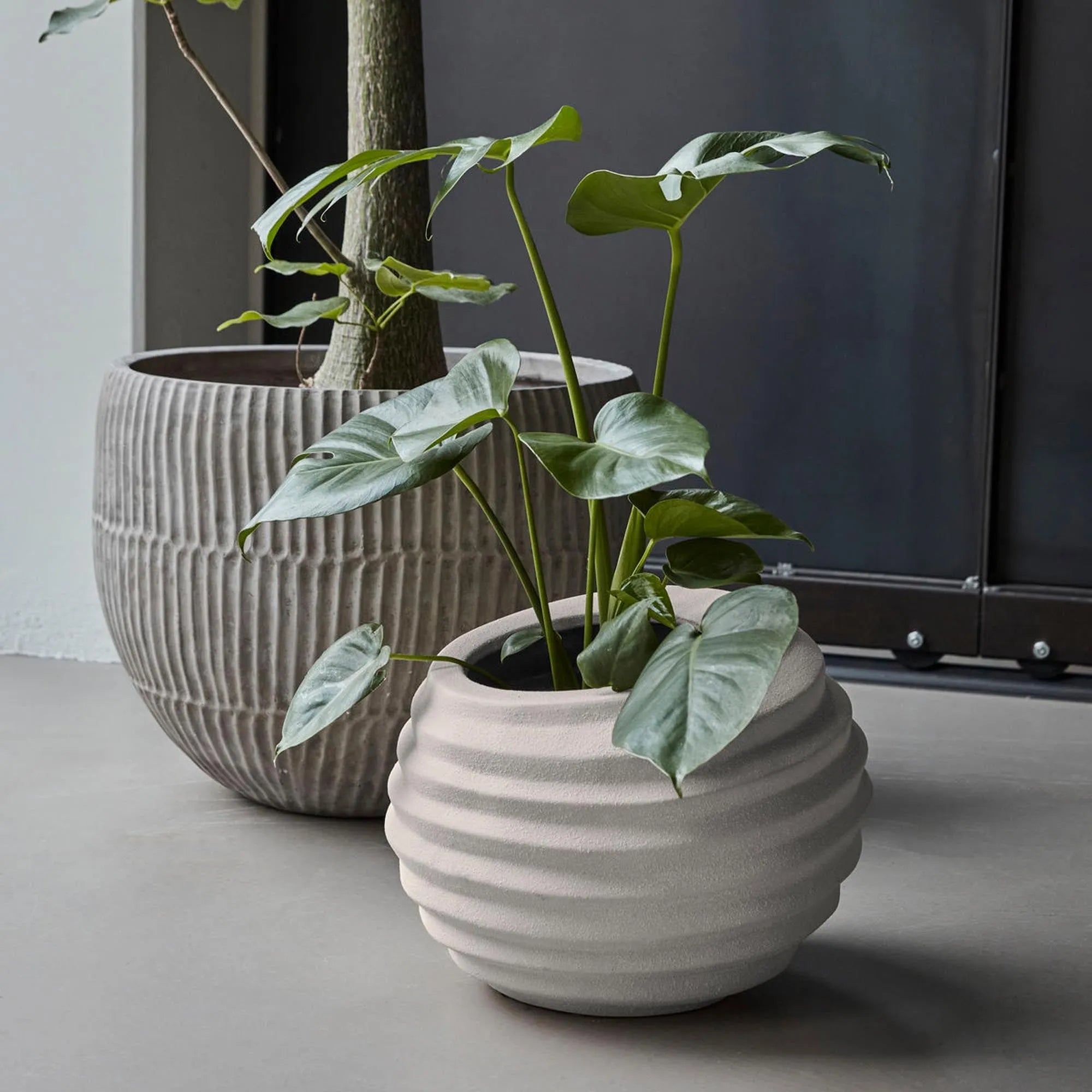 Blumentopf, HDHapp, Off-White in Off-White präsentiert im Onlineshop von KAQTU Design AG. Blumentopf ist von House Doctor