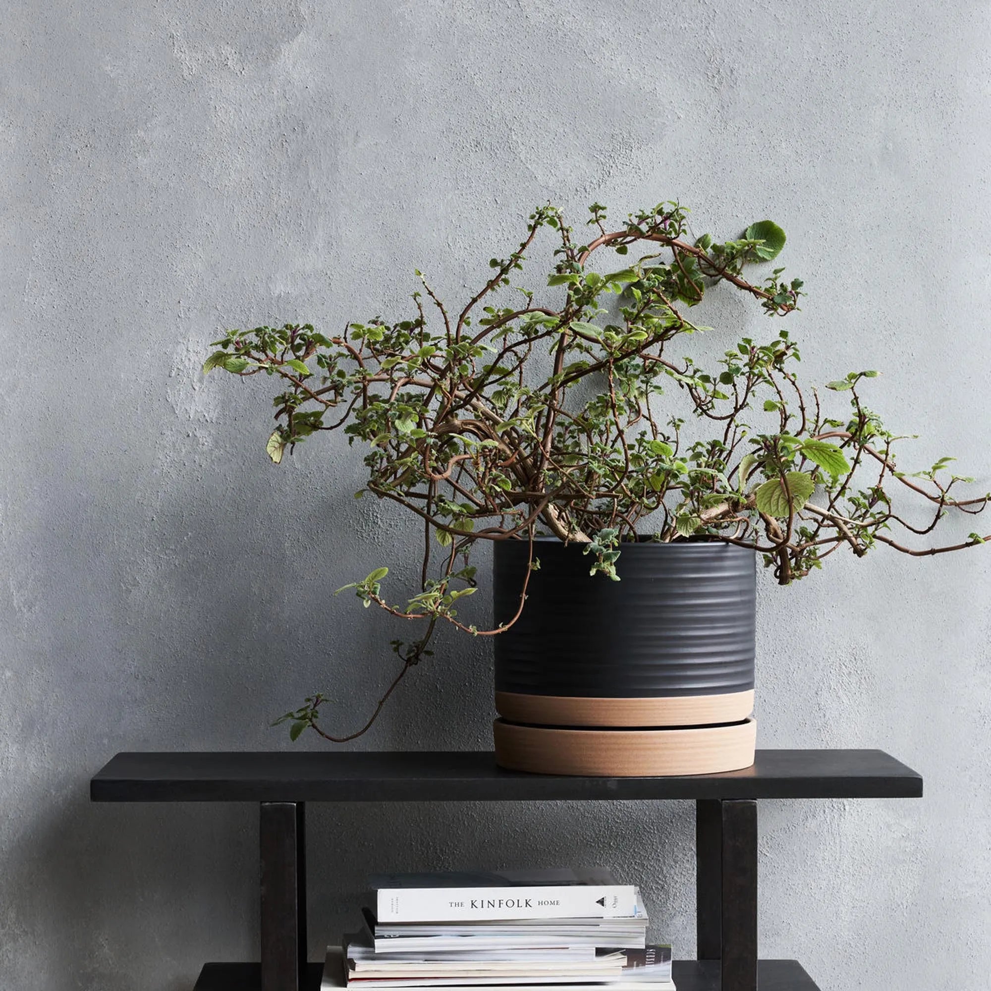 Blumentopf mit Untersetzer, Astu in Schwarz / Natur präsentiert im Onlineshop von KAQTU Design AG. Blumentopf ist von House Doctor