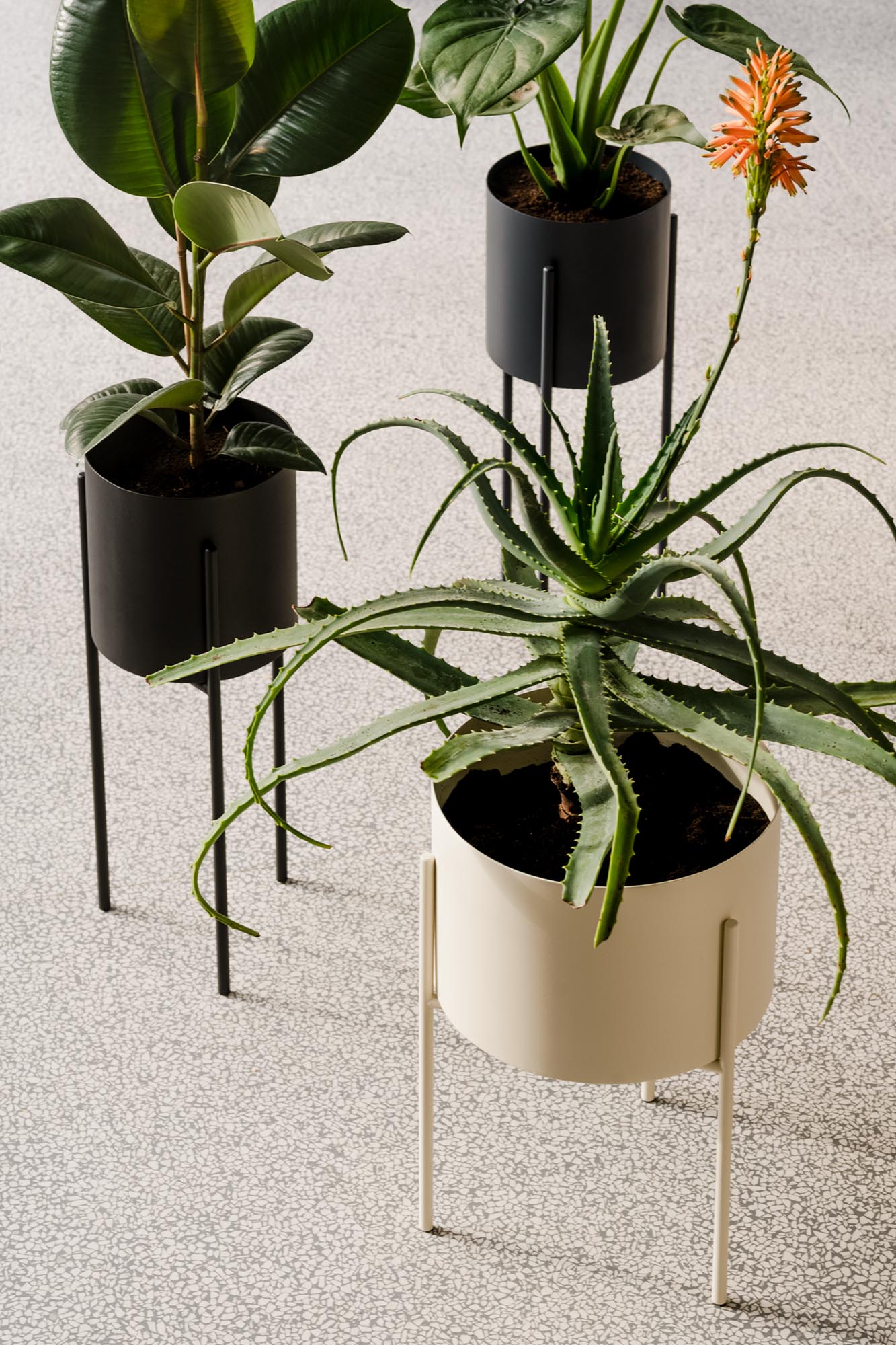 Maki Blumentopf in Vulcano Black präsentiert im Onlineshop von KAQTU Design AG. Blumentopf ist von Noo.ma