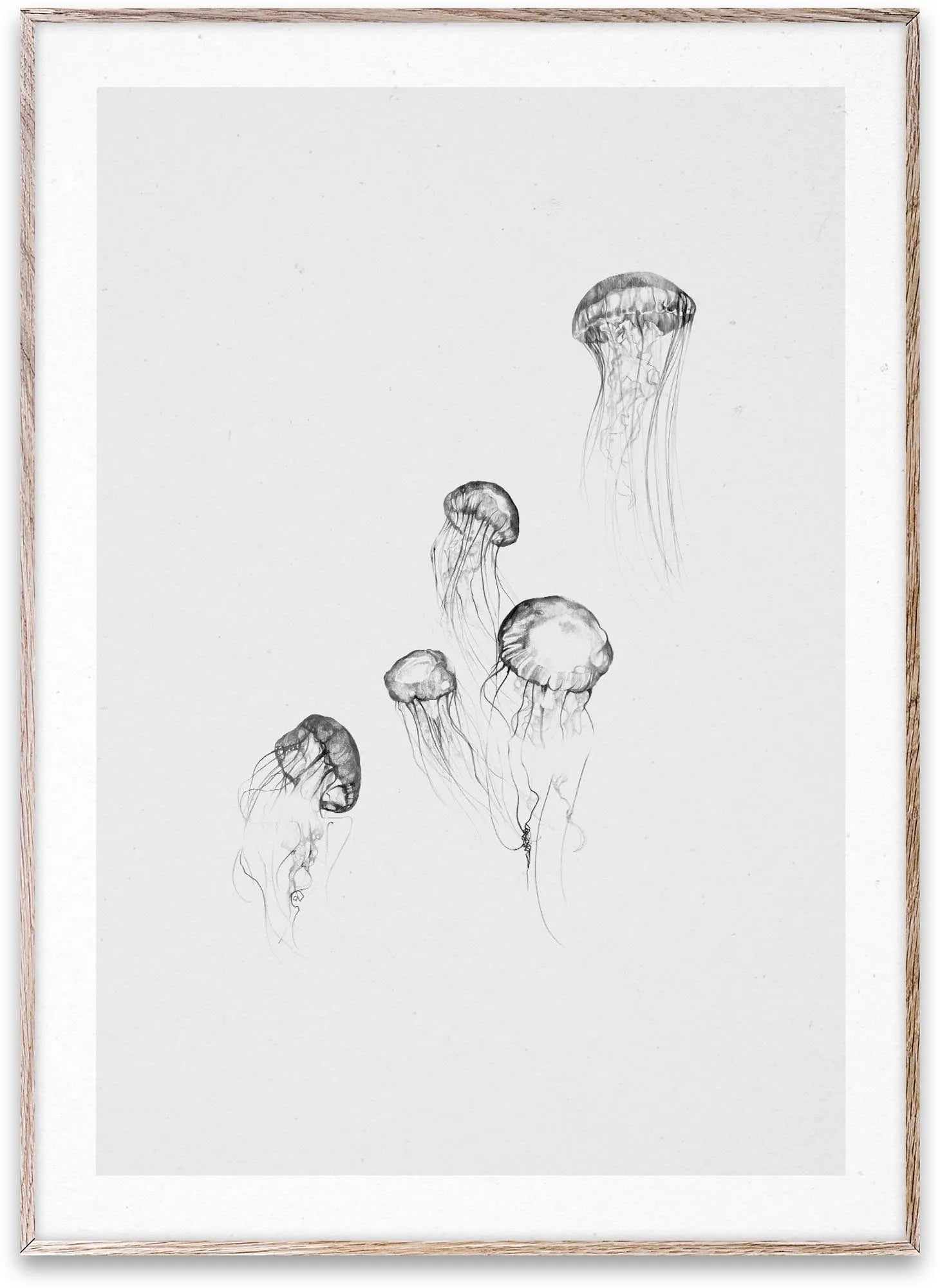 Jellyfish, Bild, KAQTU Design