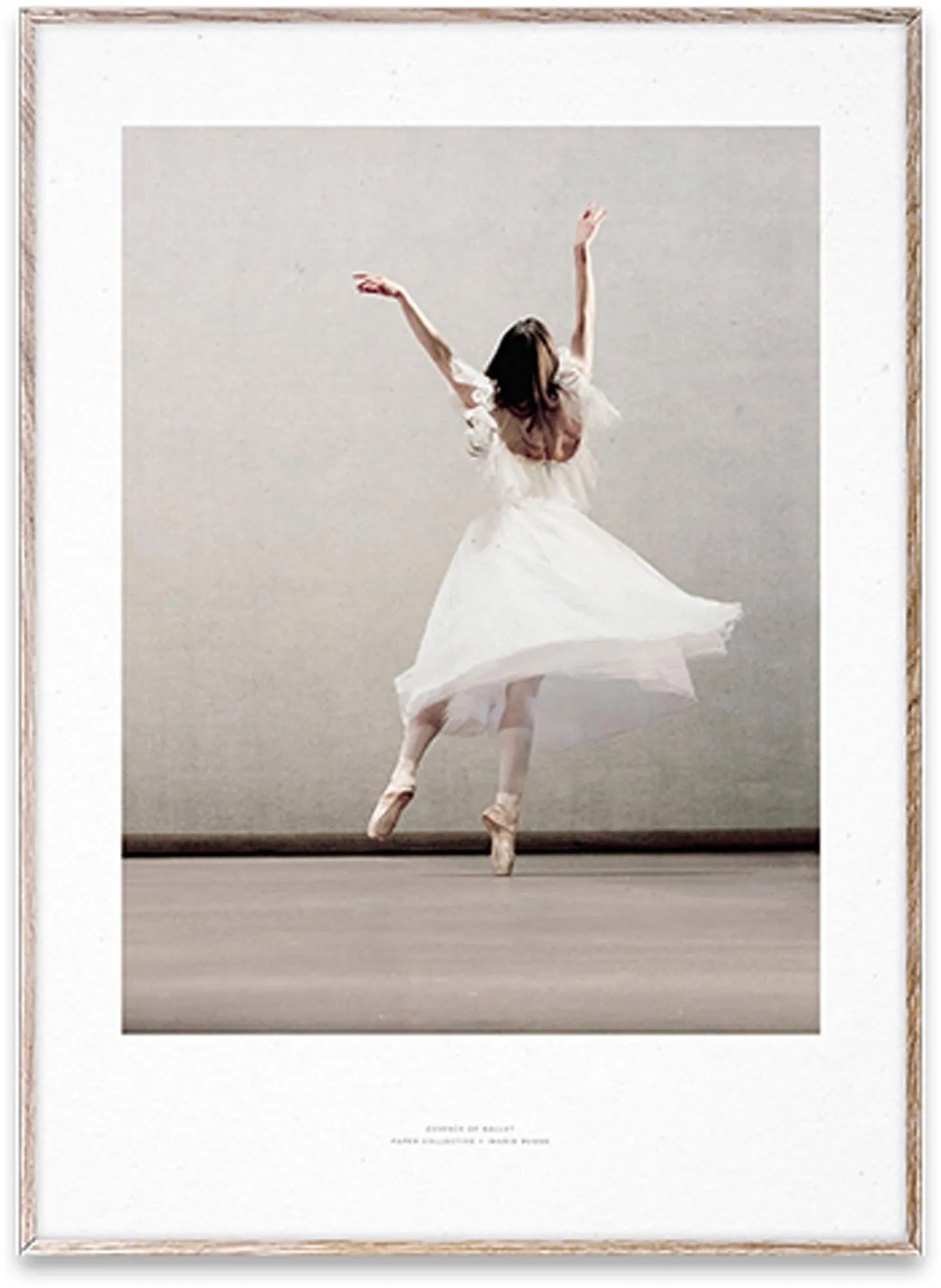 Essence of Ballet 03 - KAQTU Design